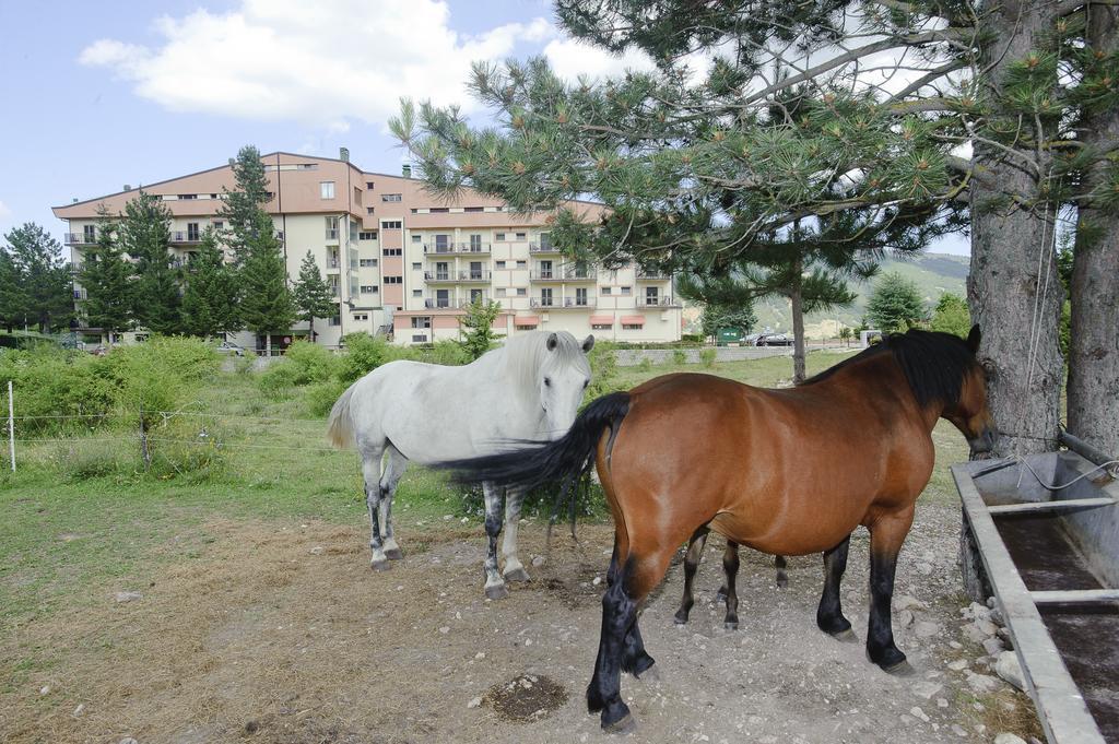 Magnola Palace Hotel Ovindoli Dış mekan fotoğraf